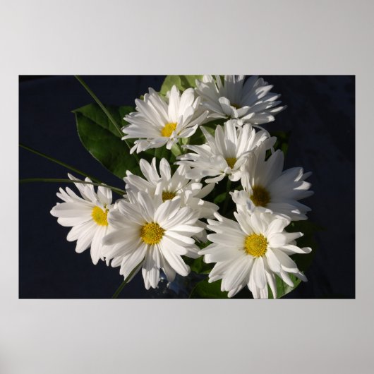 Poster (Vorne)