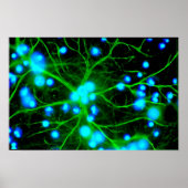Poster (Vorne)