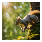 POSTER (Vorderseite)