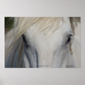 Poster (Vorne)