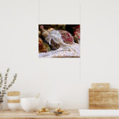 ​ ​ POSTER (Küche)