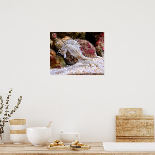 ​ ​ POSTER (Küche)