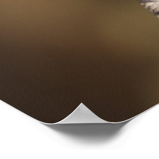 Poster (Ecke)
