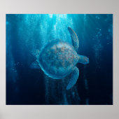 Poster (Vorne)