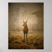 Poster (Vorne)