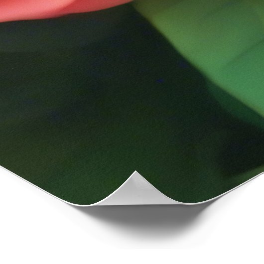 Poster (Ecke)