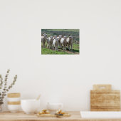 Poster (Küche)