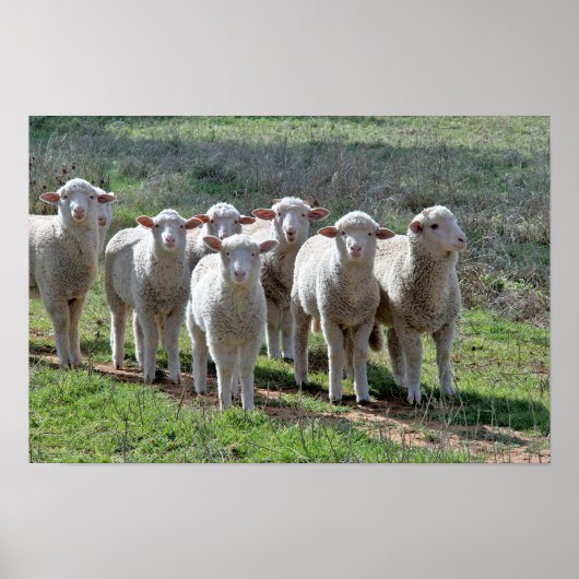 Poster (Vorne)