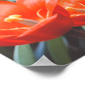 Poster (Ecke)