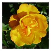 Poster (Vorderseite)