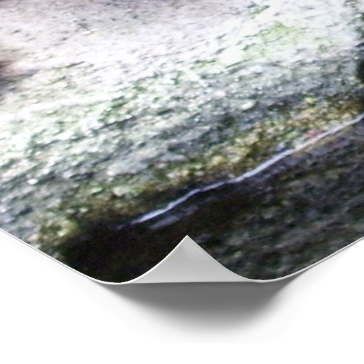 Poster (Ecke)