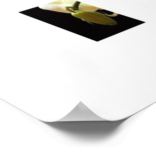 Poster (Ecke)