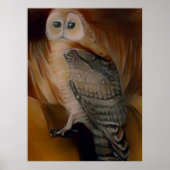 🦉 POSTER (Vorne)
