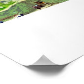 Poster (Ecke)
