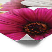 Poster4 Poster (Ecke)