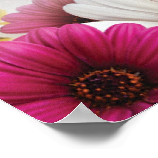 Poster4 Poster (Ecke)