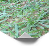 Poster 130cm de altura (Ecke)