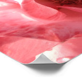 Poster 16 x 12 (Ecke)