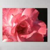 Poster 16 x 12 (Vorne)