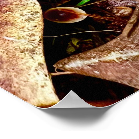 Poster 18 x 24 (Ecke)