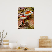 Poster 18 x 24 (Küche)