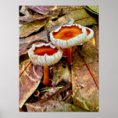 Poster 18 x 24 (Vorne)