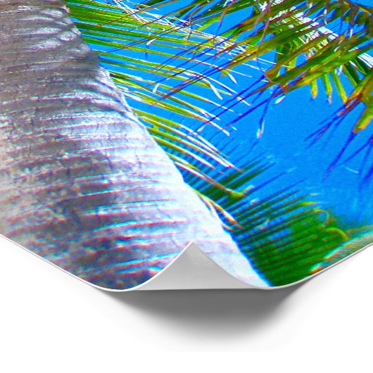 Poster (18" x 24") Palm Tree Vanuatu (Ecke)