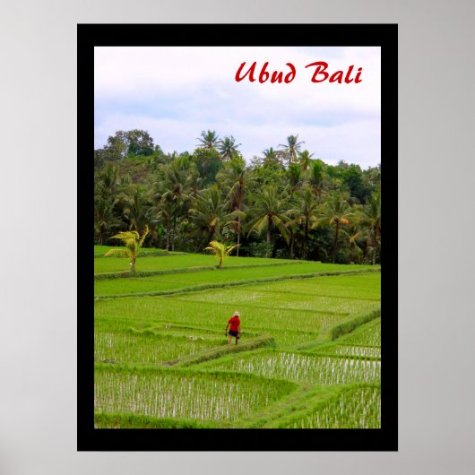 Poster (18" x 24") Reisfelder Ubud Bali (Vorne)