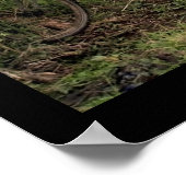 Poster (18" x 24") Ubud Bike Bali (Ecke)