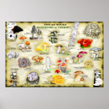 Poster 18x12 Pilze aus Vermont