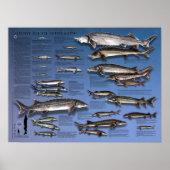 POSTER - 18X24 - SHOWCASE of STURGEONS (Vorne)