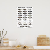 POSTER - 18X24 - STURGEON DER WELT (Küche)