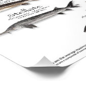 POSTER - 18X24 - STURGEON DER WELT - ERSTE JE (Ecke)