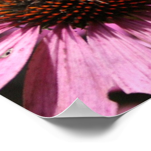 Poster 19x15" (Ecke)