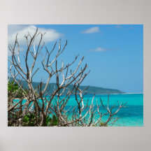 Poster (24"x18") Wasser Himmel Bäume Vanuatu