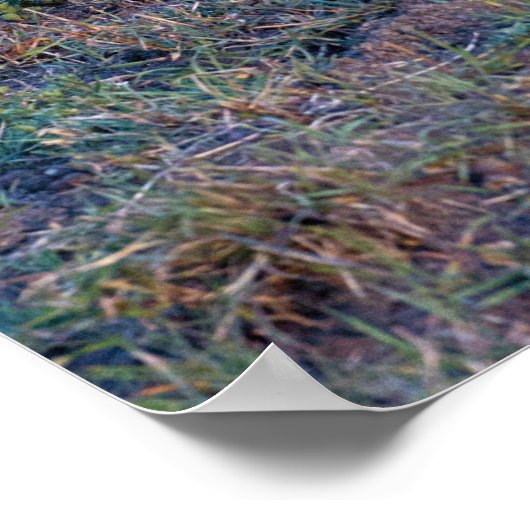 Poster - 24x36 Cheetah Mutter und Jungen (Ecke)