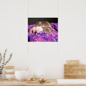 Poster: 3 Baby Mice Poster (Küche)