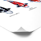 Poster 45 Koi-Typen (Ecke)