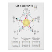 Poster 5 Elemente Chinesische Medizin (Vorderseite)