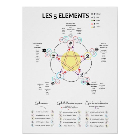 Poster 5 Elemente Chinesische Medizin (Vorderseite)