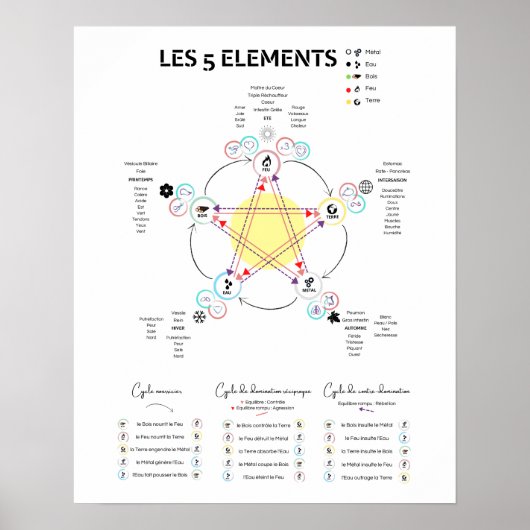 Poster 5 Elemente Chinesische Medizin (Vorne)