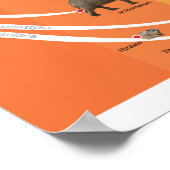 Poster A2 Evolution der Paenungulata (Ecke)