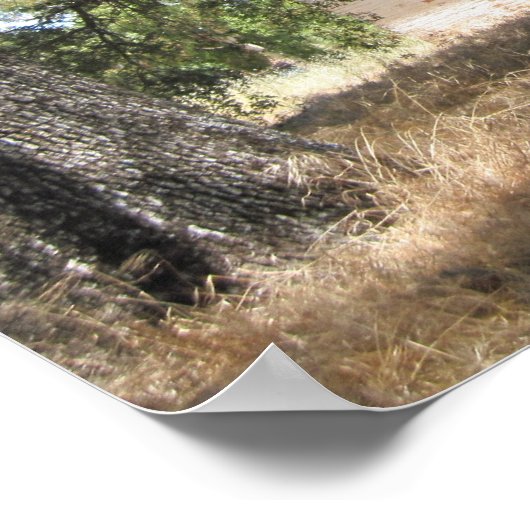 Poster: Abandoned House on 46 W in Paso Robles Poster (Ecke)