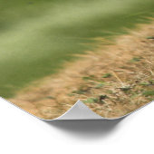 Poster abdrucken (Ecke)