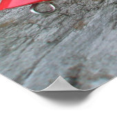 Poster AJS Lure Popper "It's All about Fishing" (Ecke)