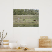 Poster - Alpacas auf dem Hügel (Küche)