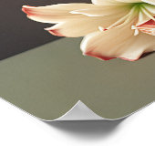 Poster Amaryllis Blume (Ecke)