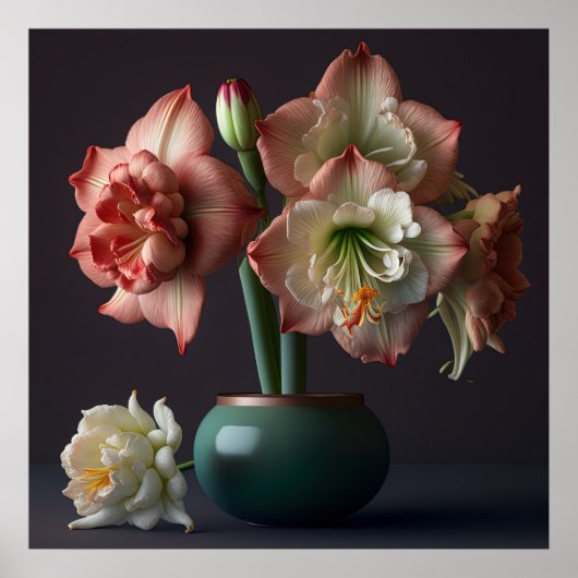 Poster Amaryllis Blume (Vorne)