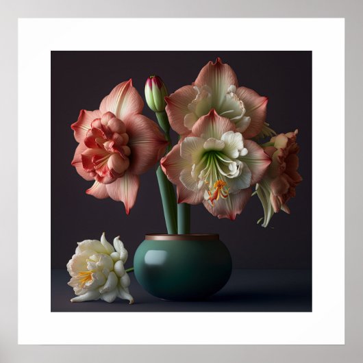 Poster Amaryllis Blume (Vorne)
