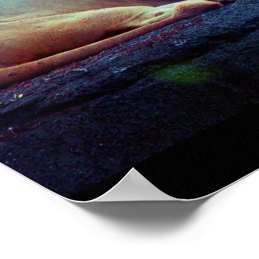 Poster-Animals-27 Poster (Ecke)